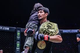 [足球之夜]2025 TIFO：重逢