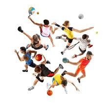 皇马换帅：阿隆索“下课” 阿韦洛亚接班